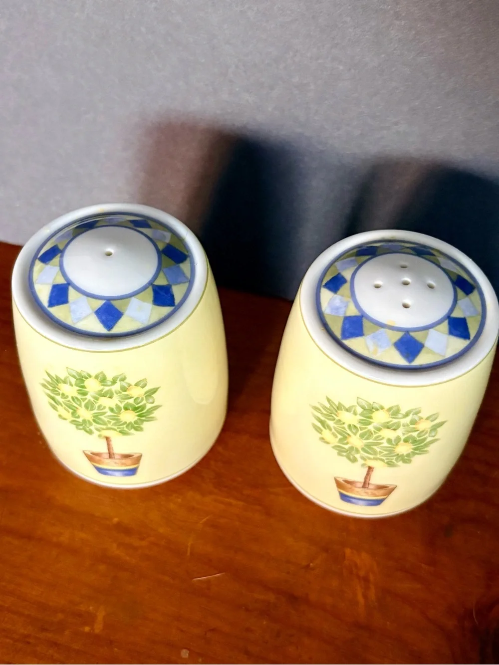 Vintage Royal Dalton Carmina Salt and Pepper Shaker Set